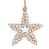 Baker's Starfish Pendant 14K