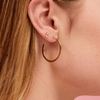 Flat Gold Hoops - LeMel